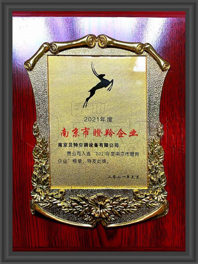 南京市瞪羚企业